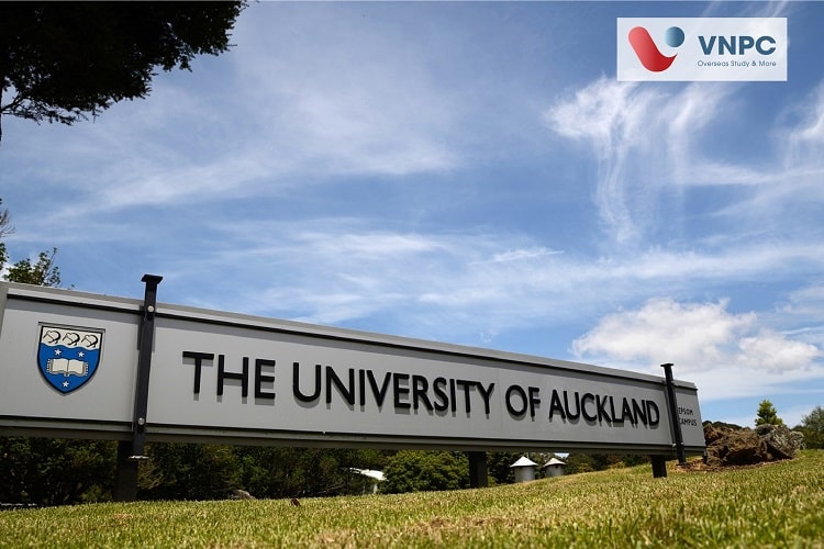 các trường 77King 78 trò chơi hấp dẫn ở new zealand